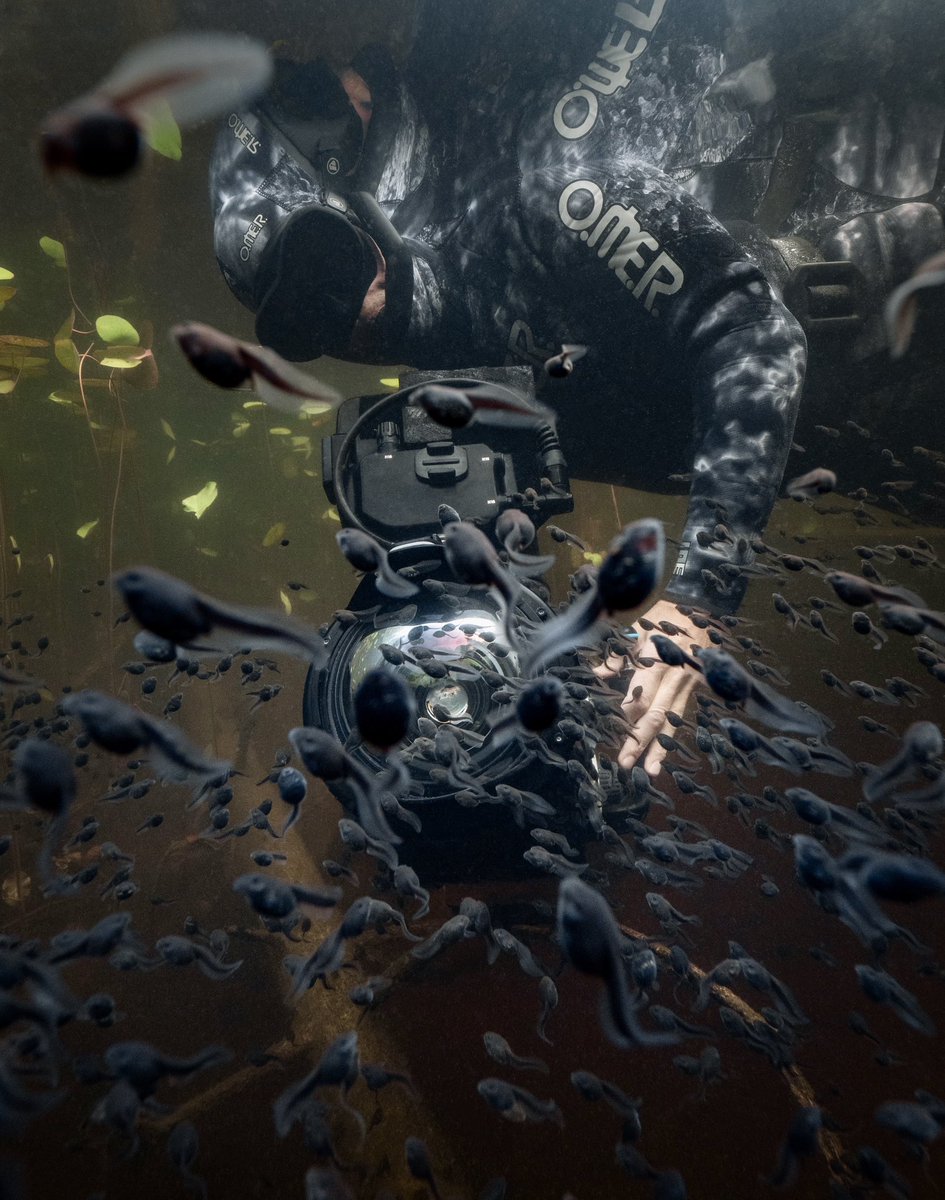 Have you had a chance to watch #OurPlanetII yet? From a passion project driven by curiosity to becoming part of one of the world's most prominent wildlife documentary series narrated by Sir David Attenborough. I couldn't be more thrilled! It's an absolute dream come true 🌎