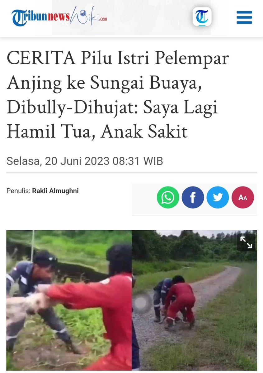 txtdrimedia tweet media