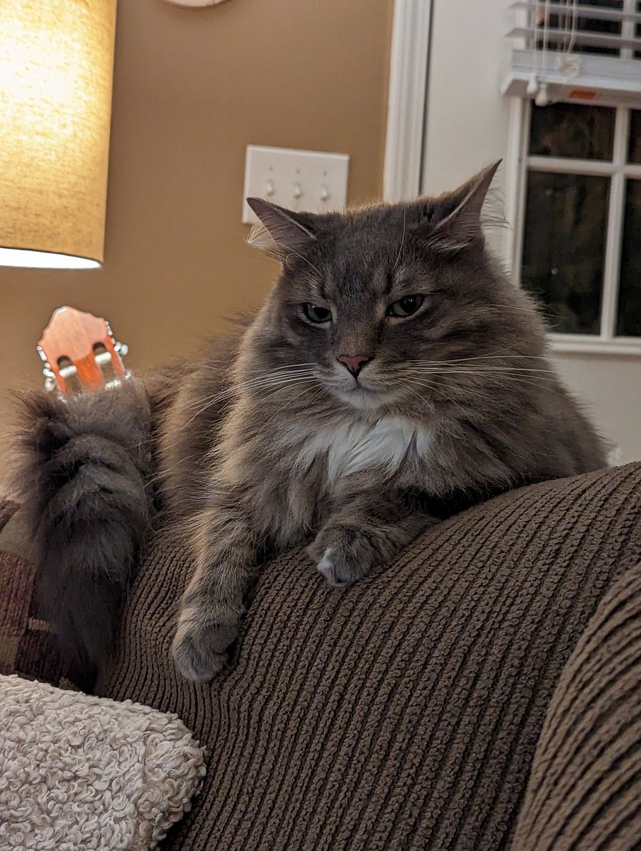 tfw you are denied pistachios