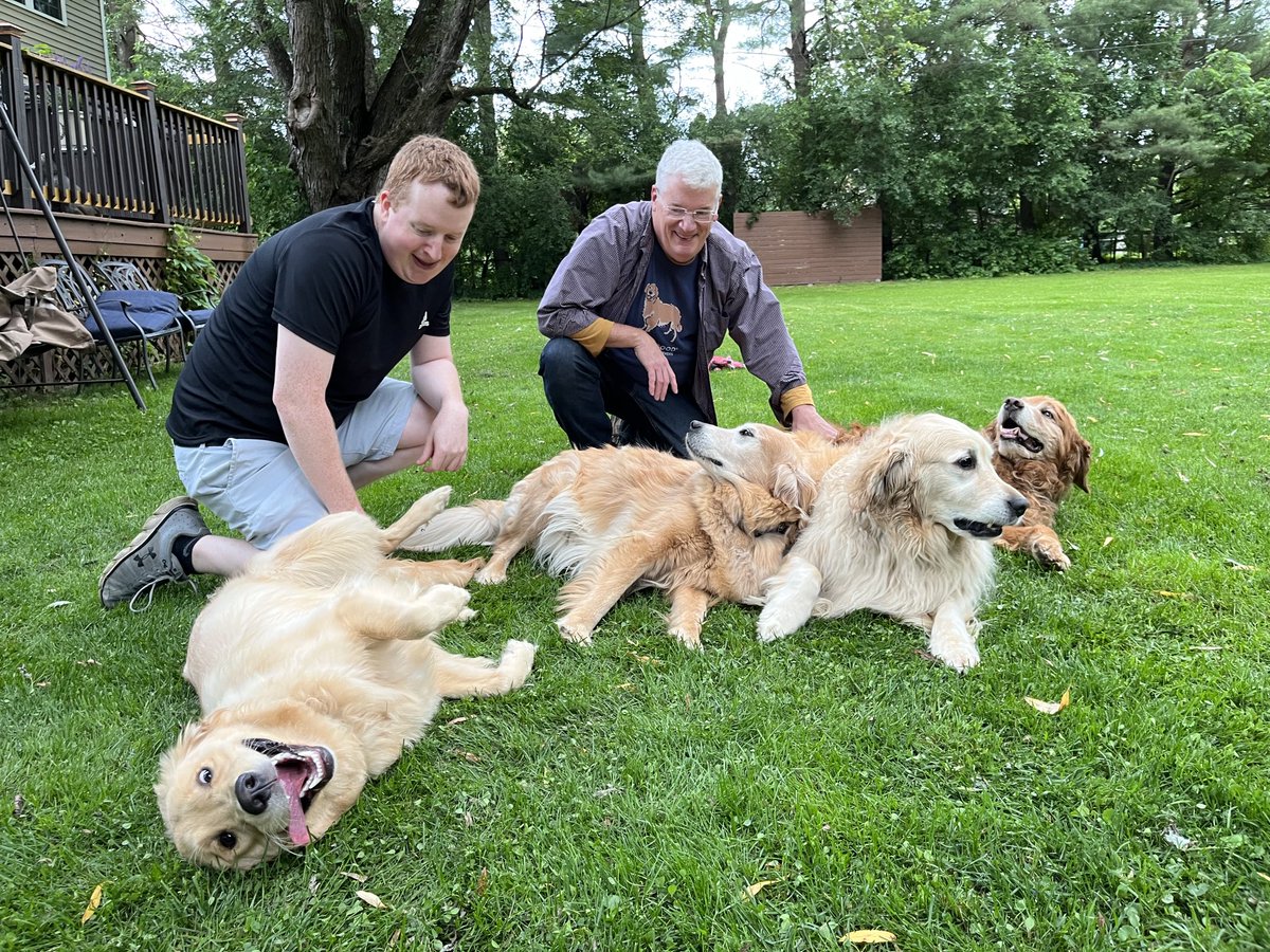 I think this is what’s called a puddle of goldens. #goldenretriever #dogs #BrooksHaven #seniordogs #rescuedogs