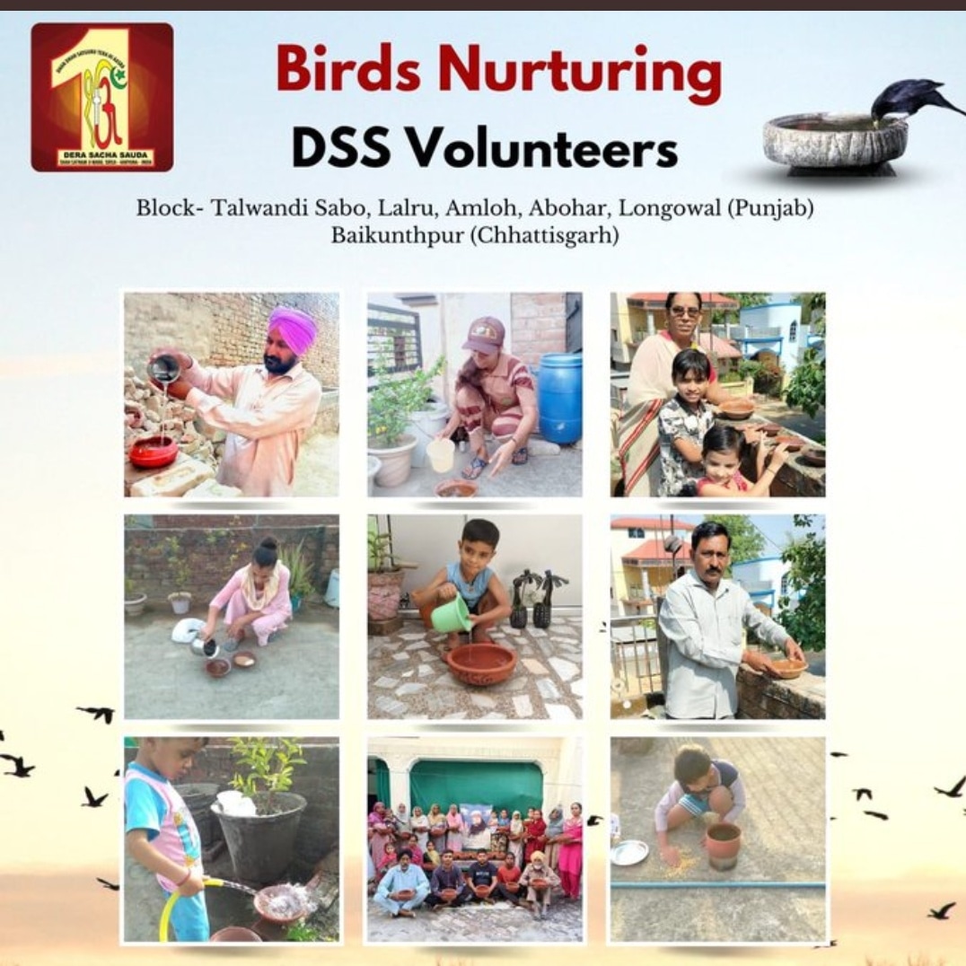 impactcreator__'s tweet image. 🕊️❤️ In a world where self-centeredness prevails, birds are struggling to survive. 

Let's practice the religion of doing good to others. 

By keeping food and water for birds, we not only save lives but also receive blessings and inner peace. 🌿🙏 

#BirdsMatter #SummerCare