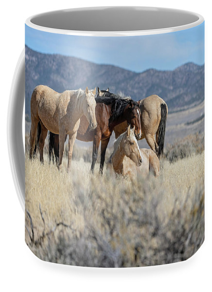 Have #Coffee with the wild ones! Two #Mug sizes!

Get It: fon-denton.pixels.com/featured/lazy-…

#WildHorses #WildHorse #Horses #CoffeeMug #BuyIntoArt #AYearForArt #TheArtDistrict #HorseLovers #Equine #GiftIdeas #FathersdayGifts #WildHorsePhotographs #CoffeeLovers #Mugs #PhotographyIsArt