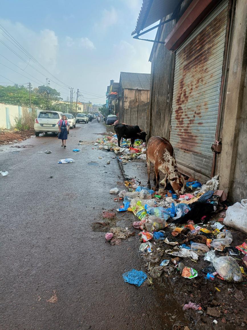 InGoa24x7's tweet image. Swacch Baharat, Nitol Goem! This is ward 9 and ward 10 of Sancoale Panchayat. Full road is covered in garbage. Students pedestrians have a difficult time walking on these roads. Repeated complaints to the panchayat go unheard

#Goa #GoaNews #Garbage #Sancoale #Panchayat