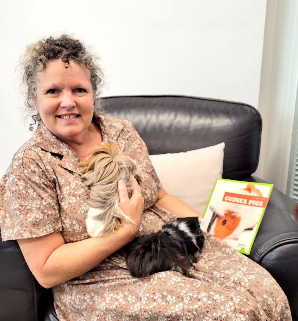 We had a few special guests visiting the library today! Ms. Illsley and her two pet guinea pigs, Olga and Lilibet 🥰

#petsinthelibrary #furryfriends #libraryfun #harrowhk