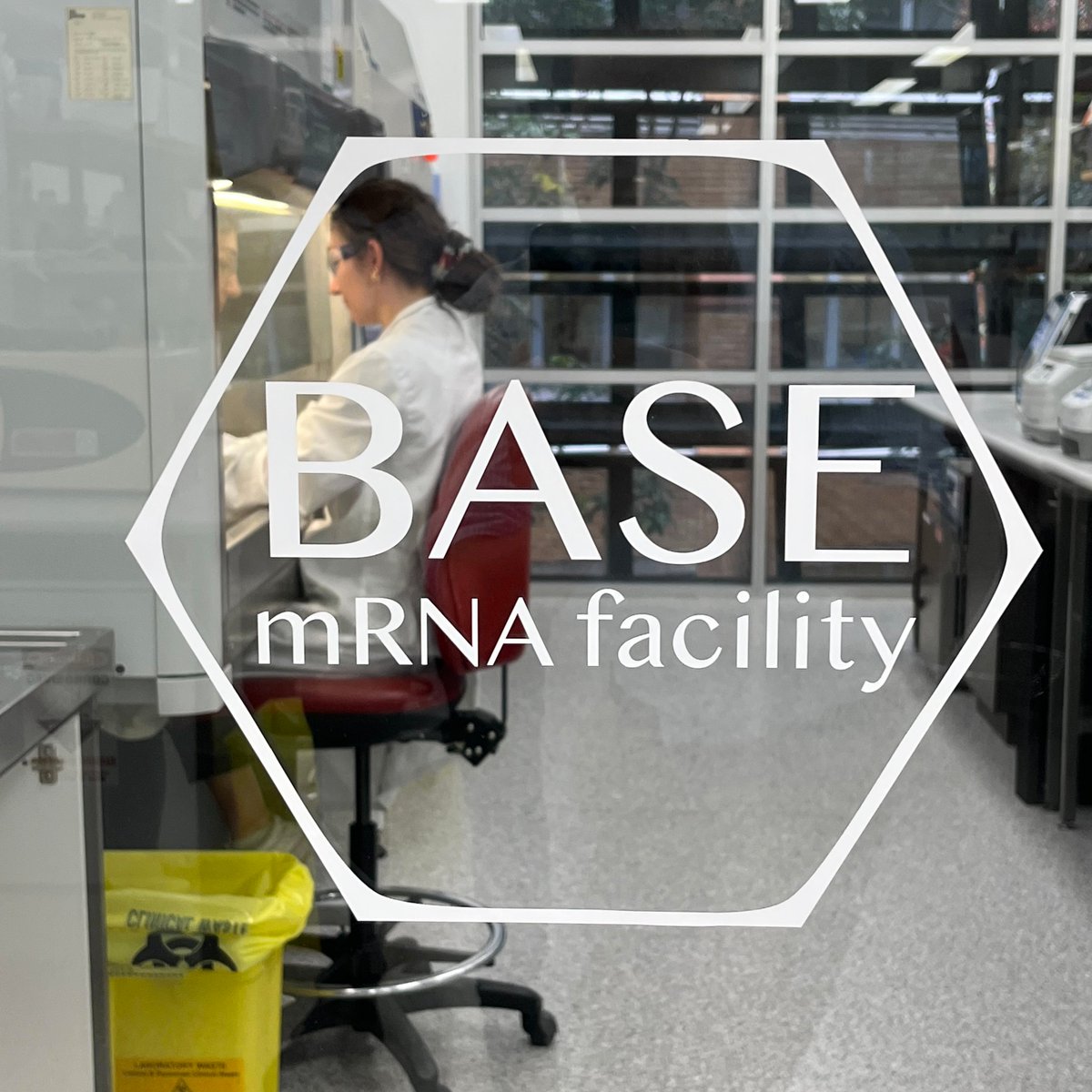 🚨We are recruiting for an #mRNA Clinical Manufacture Team Leader. The high level position will build a highly-performing clinical manufacture team at a state-of-the-art facility. Please share! 🚨
@AIBNatUQ @TIA_Aust @NationalBiolog2 @UQ_News 

uq.wd3.myworkdayjobs.com/uqcareers/job/…