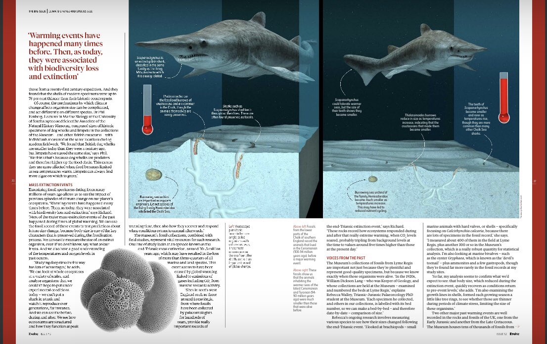 My M.Res. work with Prof. Twitchett and @NHM_FossilFish made it to this year’s @NHM_London ‘s #evolvemagazine summer issue. @unisouthampton @UniSotonIntl @commschols alumna.