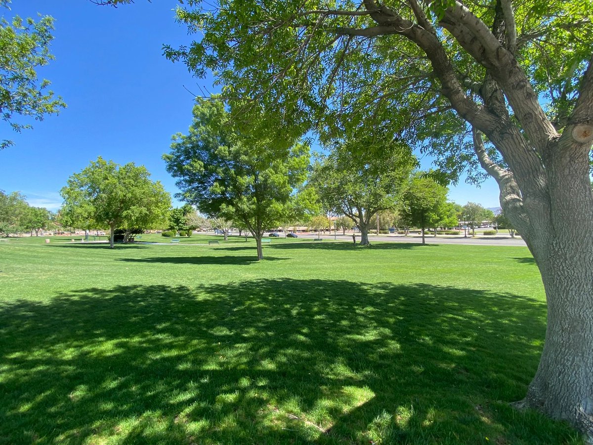 Enjoy a day alone. Maybe it was yesterday or it could be today. . . . .
#photography
#daily
#Nevada
#PoddleCity
#photo