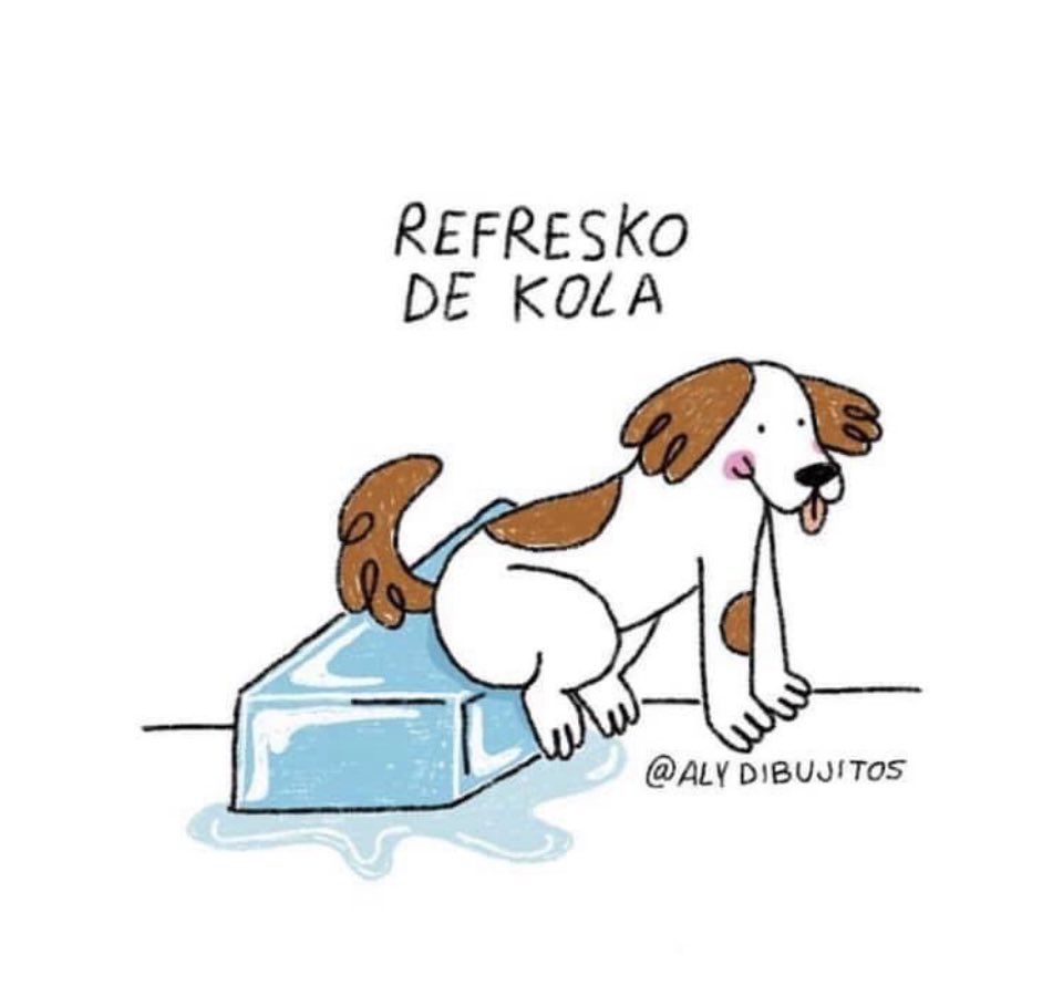 Lo que sea por los perritos 😅 es que hace mucho calors 🥵🥵🥵💜🐶🐾

#amoreterno #soytutorresponsable
#AdoptaUnOceanican #Oceanican #RefugiOceanican #perros  #love #gratitude #dogs #cdmx #truelove #amoayudaralosperros #adopta #rescata #padrinosmágicos #amoayudar