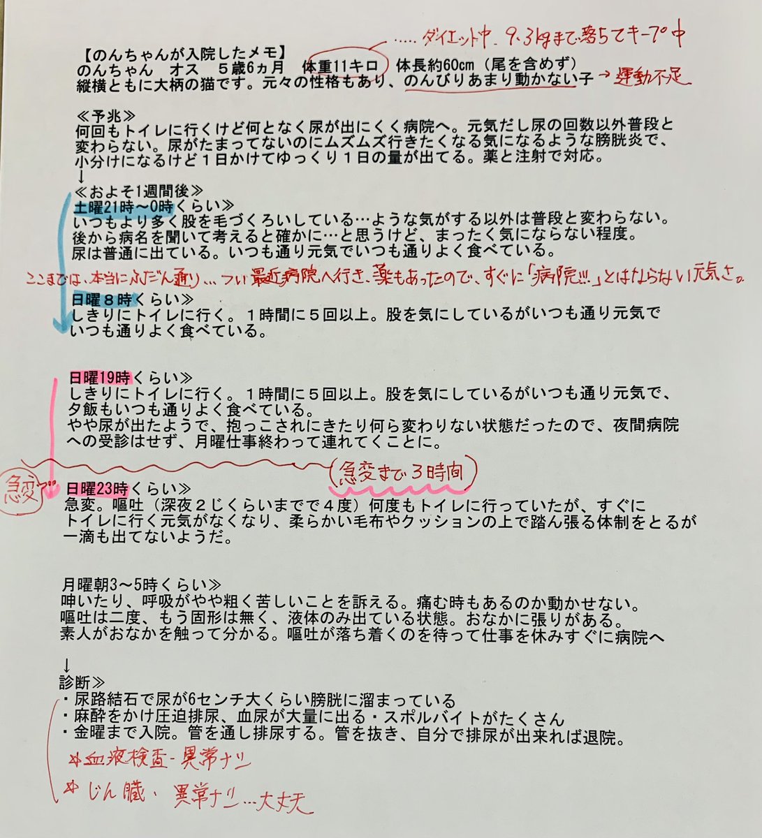 「【のんちゃん入院】 入院するまでの病状の急変を、自分への戒めもありベタ打ちでメモ」|歳🍊5\5コミティア【と57b】のイラスト