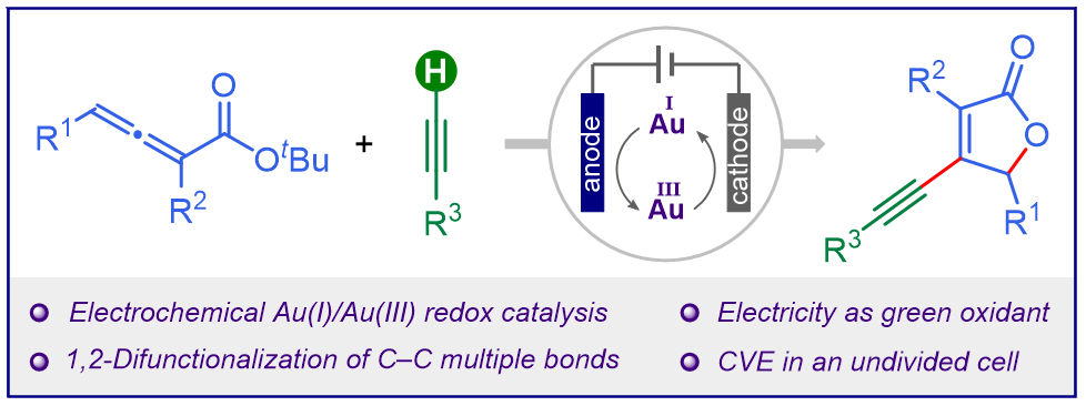 The Patil Group (@thepatilgroup) on Twitter photo Happy to share that our work on "Electrochemical Gold-Catalyzed 1,2-Difunctionalization of C–C Multiple Bonds" is now available <a href="/ChemRxiv/">ChemRxiv</a>. Thanks to Salman and Dr <a href="/amitpaul_iiserb/">Amit Paul, PhD</a> for helping us with the electrochemical studies.
<a href="/anilk_iiserb/">Anil Kumar</a> <a href="/KhyatiShukla01/">Khyati Shukla</a> <a href="/chm_iiserb/">Dept of Chemistry, IISER Bhopal</a> Happy to share that our work on "Electrochemical Gold-Catalyzed 1,2-Difunctionalization of C–C Multiple Bonds" is now available <a href="/ChemRxiv/">ChemRxiv</a>. Thanks to Salman and Dr <a href="/amitpaul_iiserb/">Amit Paul, PhD</a> for helping us with the electrochemical studies.
<a href="/anilk_iiserb/">Anil Kumar</a> <a href="/KhyatiShukla01/">Khyati Shukla</a> <a href="/chm_iiserb/">Dept of Chemistry, IISER Bhopal</a>