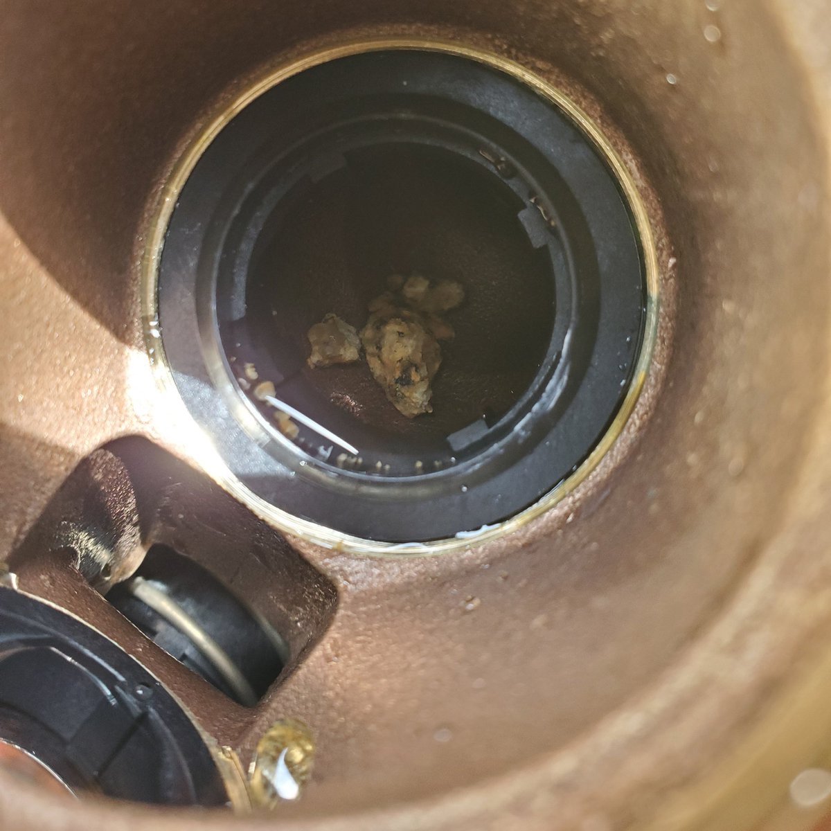 951Backflow's tweet image. Backflow installers should flush debris out of the water line before connecting the backflow assembly. Dirt, sand and even rocks can flow into the assembly and cause damage.