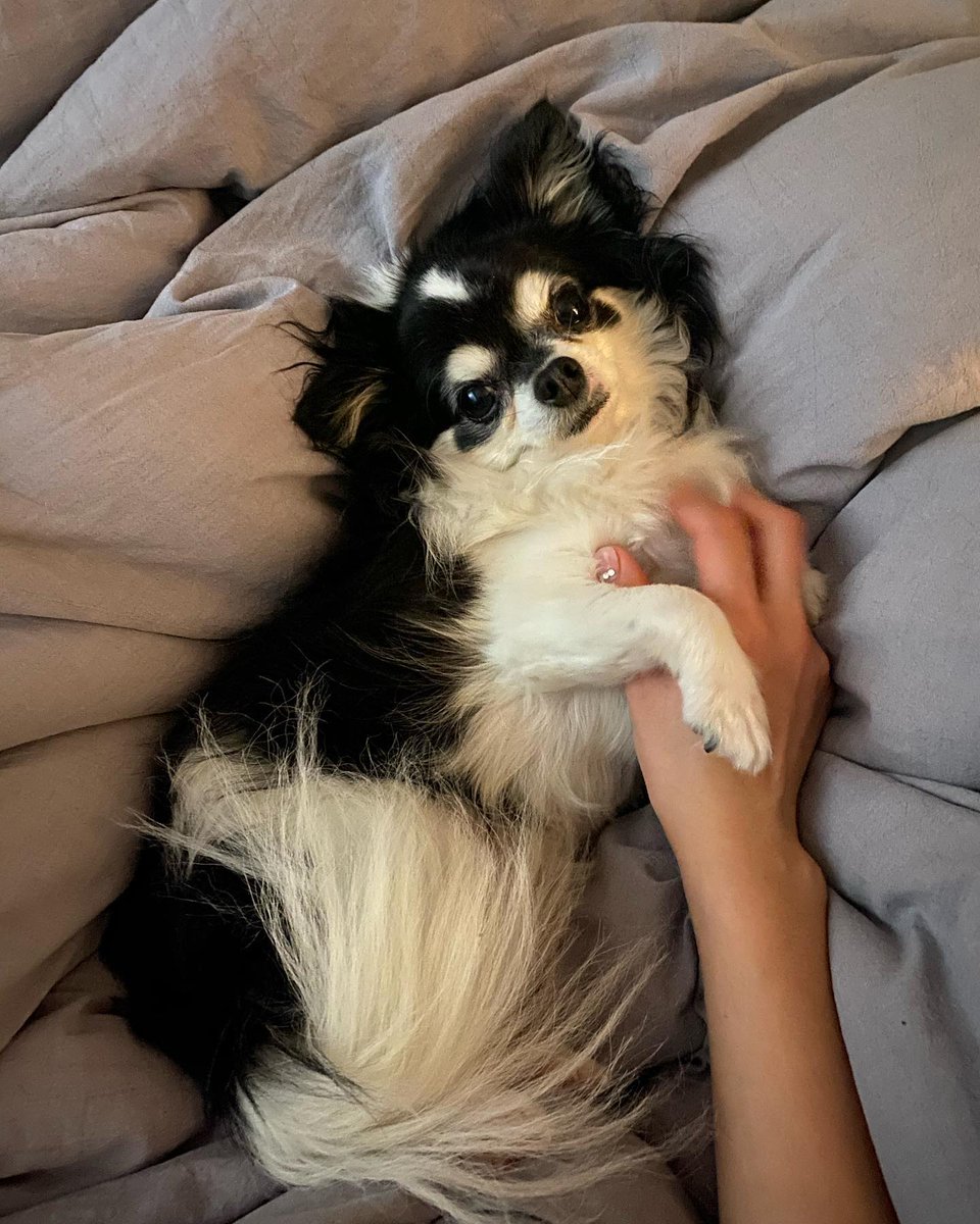 The dog is thinking: How can I have such a beautiful master haha😆😆😆