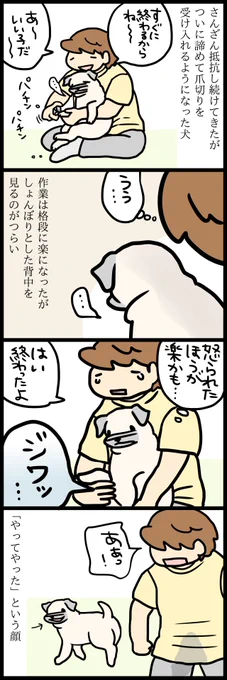 めーと爪切り