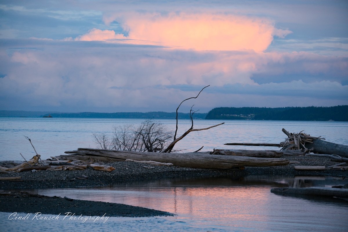 Ala Spit on #whidbeyisland #whidbey #summer #sunset #sunsetphotography