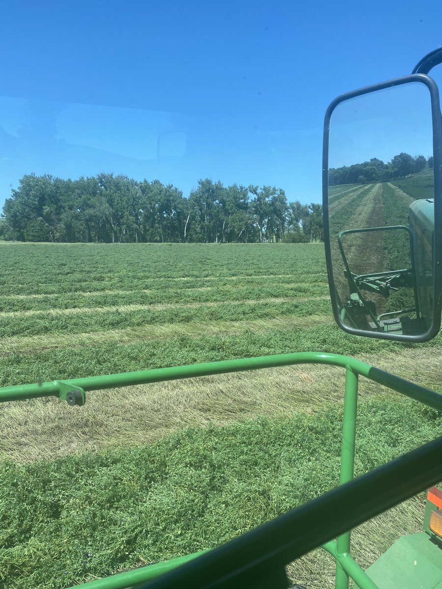 RadarZ06's tweet photo. Still on the hay..

#wtho https://t.co/zSlwcJRMb8