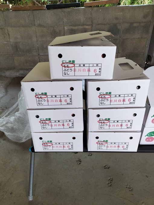 登場! ガルーダ値下げをしました。 その他 - julinaschoolfordeaf.ug