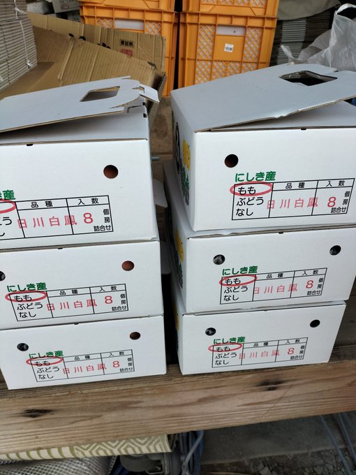 登場! ガルーダ値下げをしました。 その他 - julinaschoolfordeaf.ug