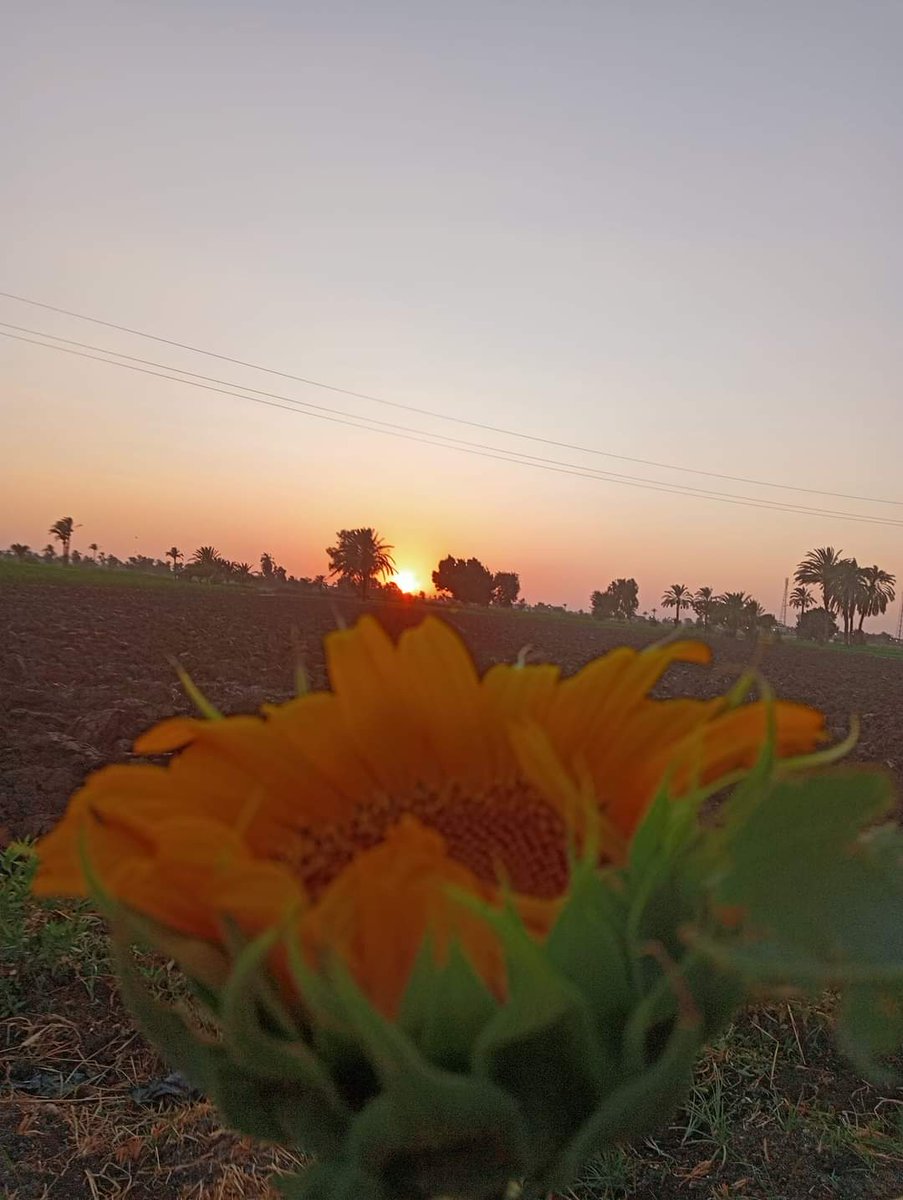 حين يشاء الله يستبدل أسباباً بي أسباب
ويغلق أبواب ويفتح أبواب الله المعطي 
سيعطيك حتي ترضي كن علي ثقة 
سيستجيب 🥰

اللهُم قر أعيننا بكُل دعوه اخبرناك بها🤲🏻

صباح الخير 🥀