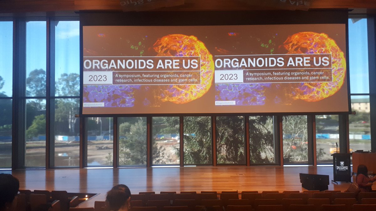 𝙰𝚗𝚊 𝙼𝚊𝚛𝚒𝚊 tweet media