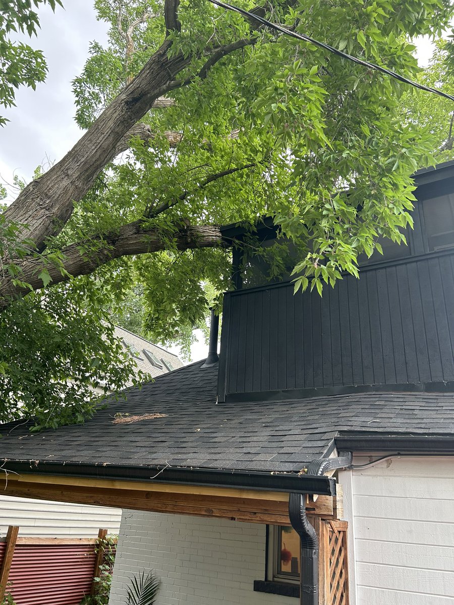 In a fun turn of events, a big old tree at our newish house split in the wind and half is on our house (new roof). 

Very Monday.