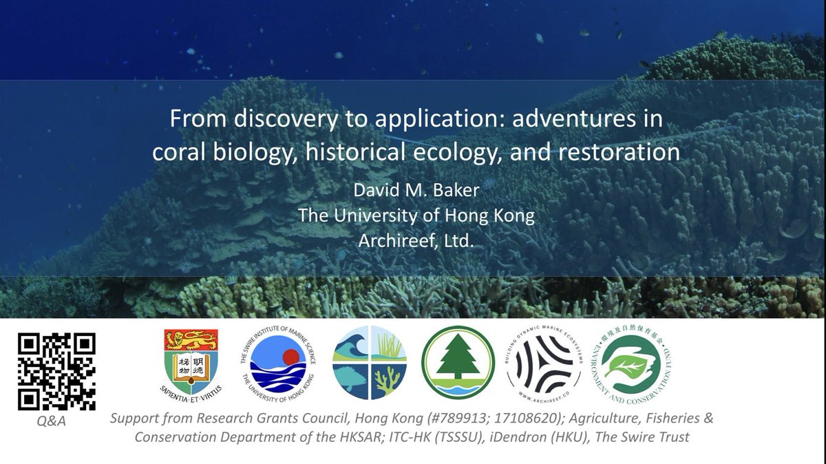 Our head honcho <a href="/thedmbaker/">David Baker</a> is giving the afternoon plenary today <a href="/apcrs2023/">APCRS2023</a>! Join us on a journey of #coral ecology past, present and future in Auditorium 2 @ 2pm 🪸 

#restoration #historicalecology  #APCRS2023