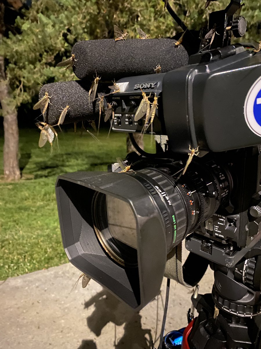 Mercbg2k's tweet image. No free rides!  #photogproblems