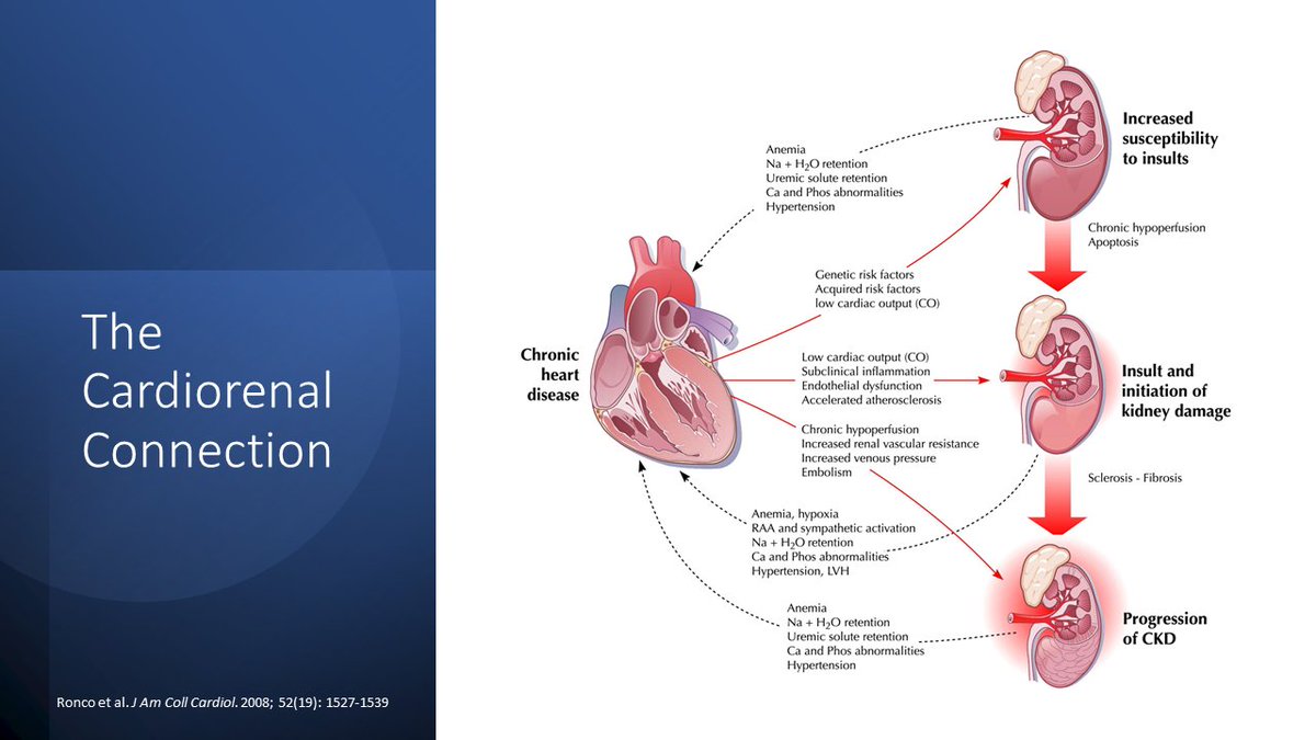 accpcardprn's tweet photo. Only 2 weeks left for this year's PGY2 residents and @natolol_rx from @UMassRxRes is finishing out strong with this week's PGY2 CE Spotlight. She reviews considerations for heart failure management in ESRD #CardioTwitter https://t.co/omFT8ZpOVy