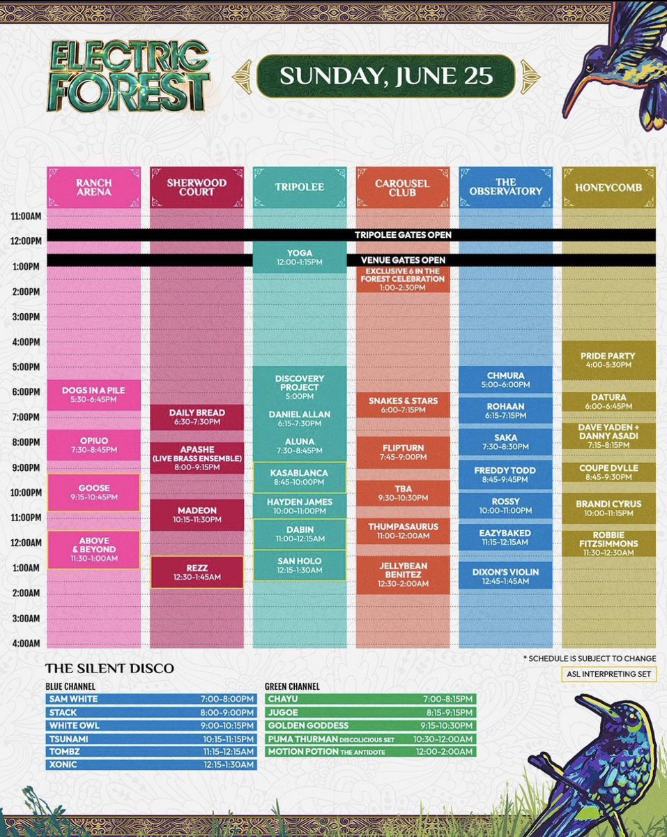 See you in the forest this wknd 🌳✨✨