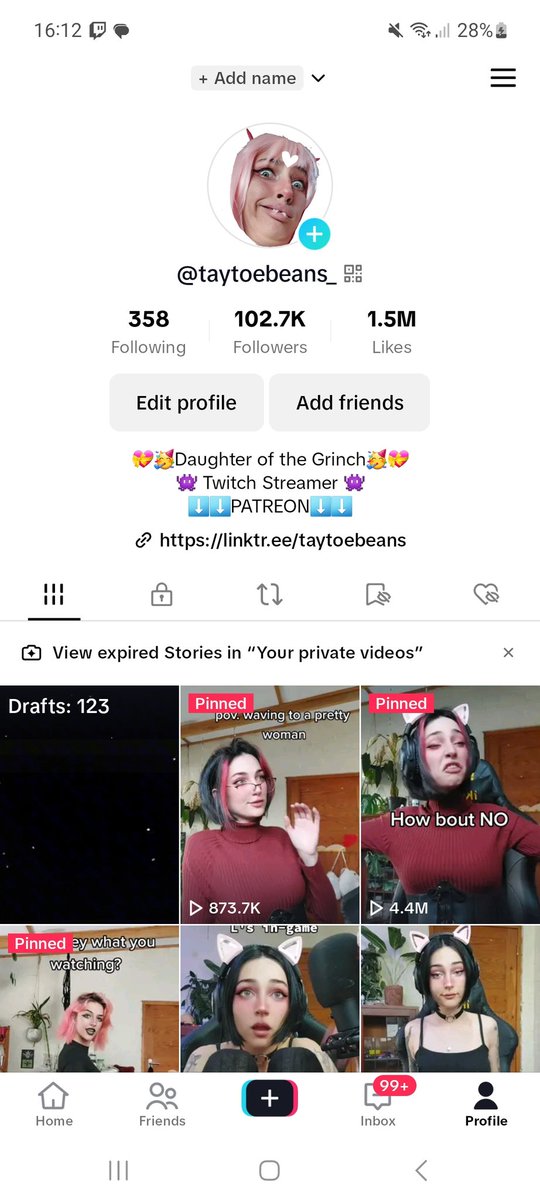 TayToeBeans on Twitter "For 3 years I built up my tiktok account and