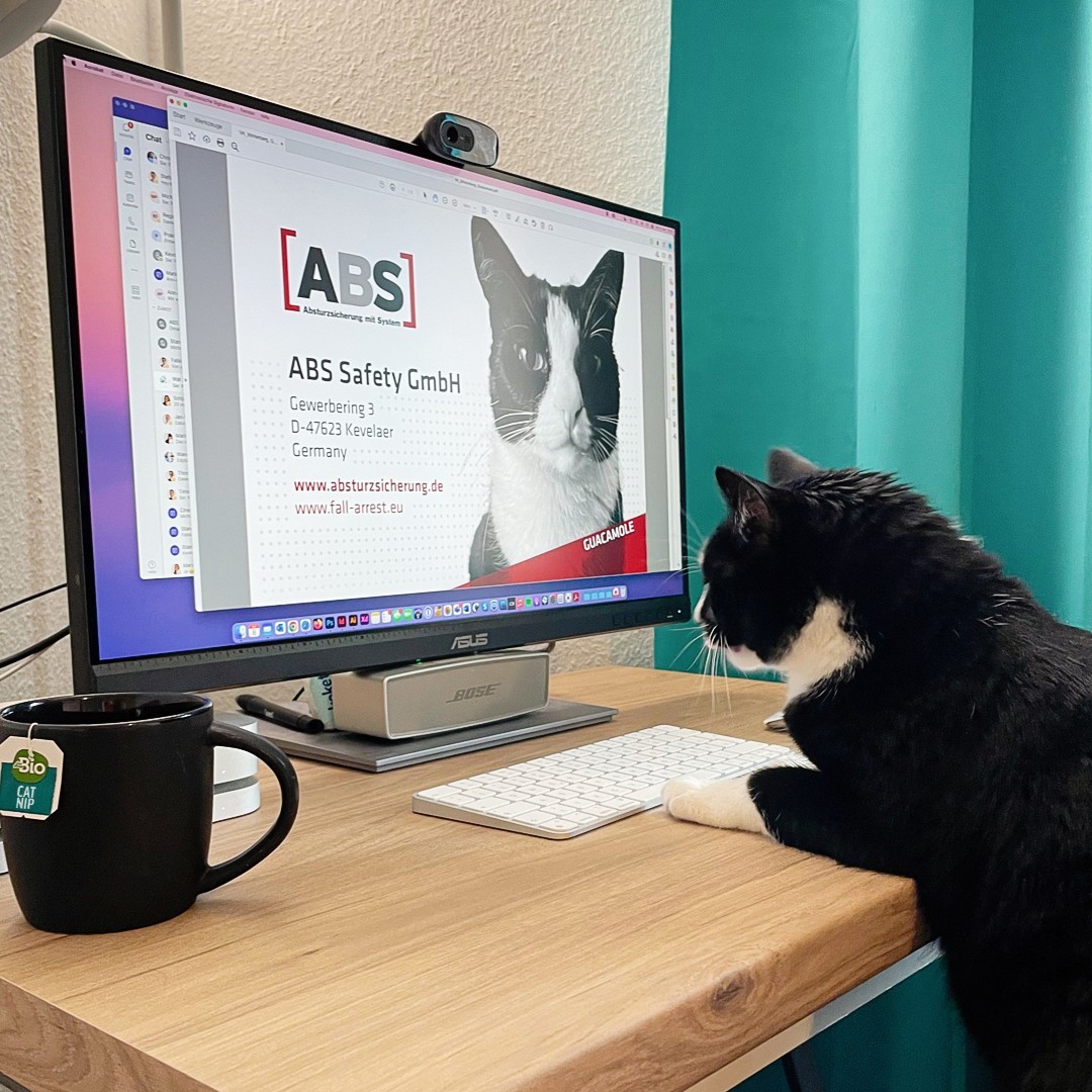 "Nimm-deine-Katze-mit-zur-Arbeit-Tag" 🐈
Bei uns kommt nicht die Katze mit zur Arbeit, sondern die Arbeit zur Katze.

So siehts aus, wenn Guacamole aus dem Homeoffice arbeitet 😀
#abssafety#alwaysontop#abstusi#absfamilie#kevelaer#fallprotection#workingatheights#roofer#cat#YCTWDay
