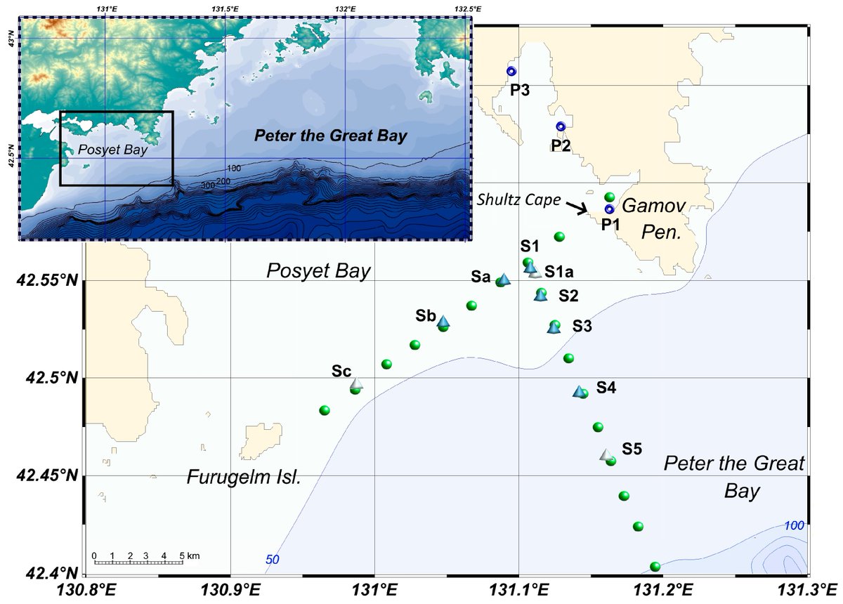 #NewArticle

Estimation of Seawater #Hydrophysical Characteristics from #ThermistorStrings and #CTD Data in the Sea of Japan Shelf Zone mdpi.com/2335828 #mdpijmse via @JMSE_MDPI 

@MDPIBiologySubj @MDPIEngineering 
#Tsregression #soundspeedfluctuations #temperaturesensors