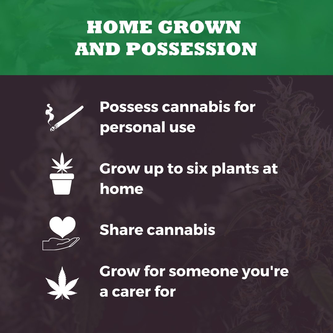 This just happened!!

In an Australia first three Parliaments across the country will have the same bill read in for debate at the same time!

Stay tuned to find out more about what the bill means and why it is so important for cannabis law reform. #springst #vicpol #freetheplant