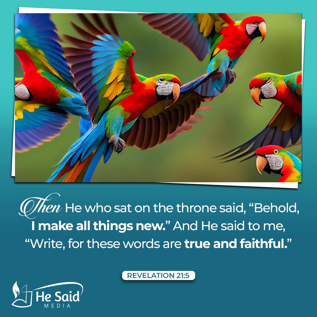 HeSaidMedia's tweet photo. Let us thus be watchful while "looking for that blessed hope, and the glorious appearing of the great God and our Saviour Jesus Christ" (Titus 2:13)

#MadeAnew
#HeSaidMedia https://t.co/Mo5T2aHd3j