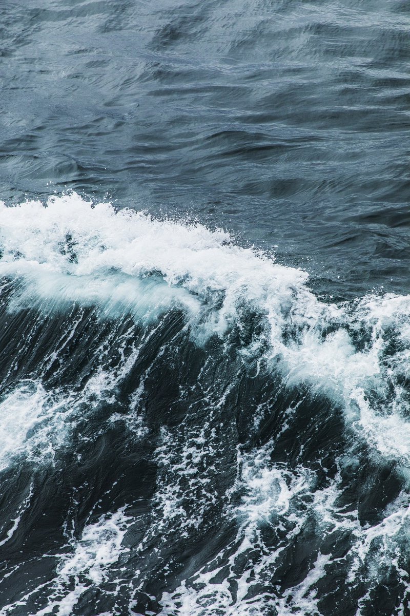 Cherith Brook tweet media