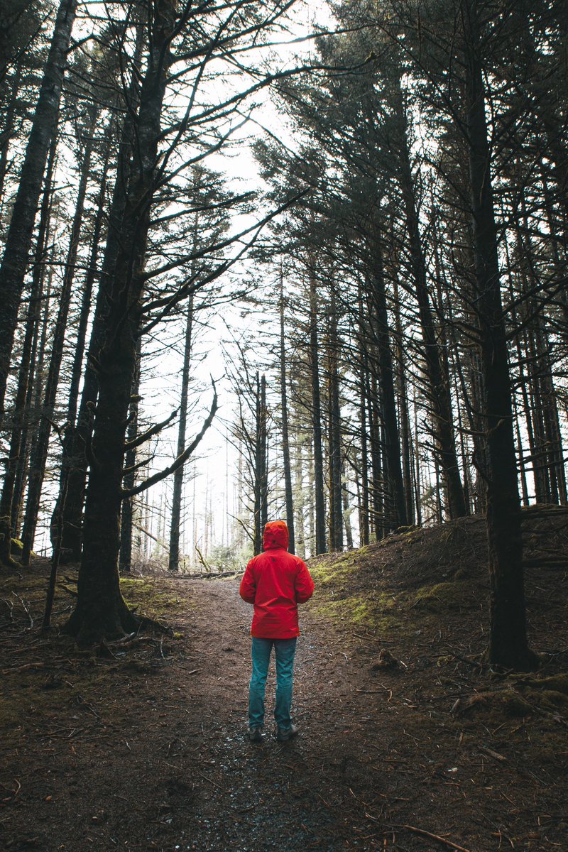 Cherith Brook tweet media