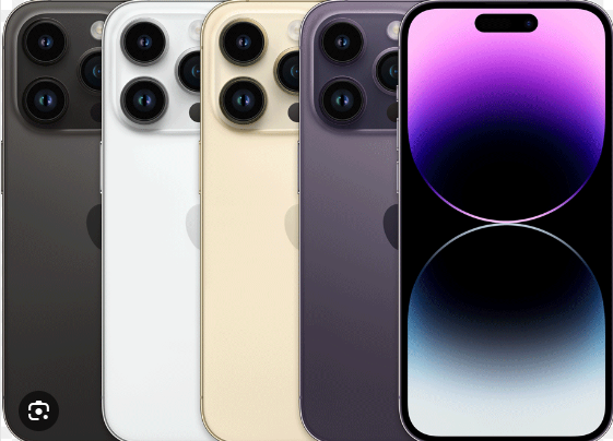 Nasima Miss tweet media