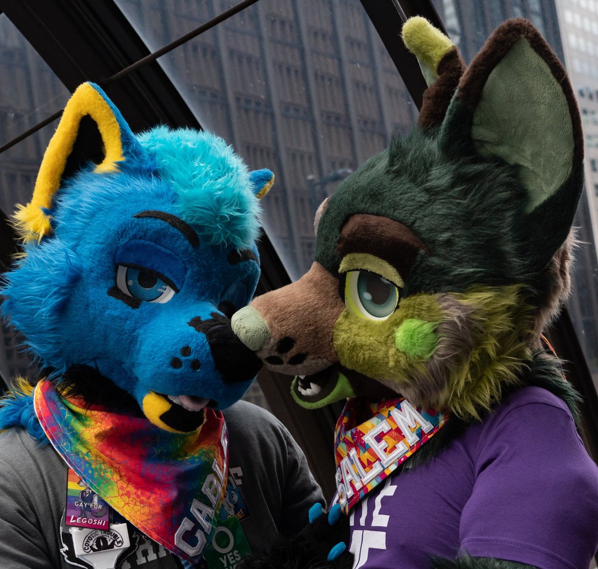 CableHusky's tweet photo. 🥰 @SorcererSalem 💙 https://t.co/SdU9pvoLz1