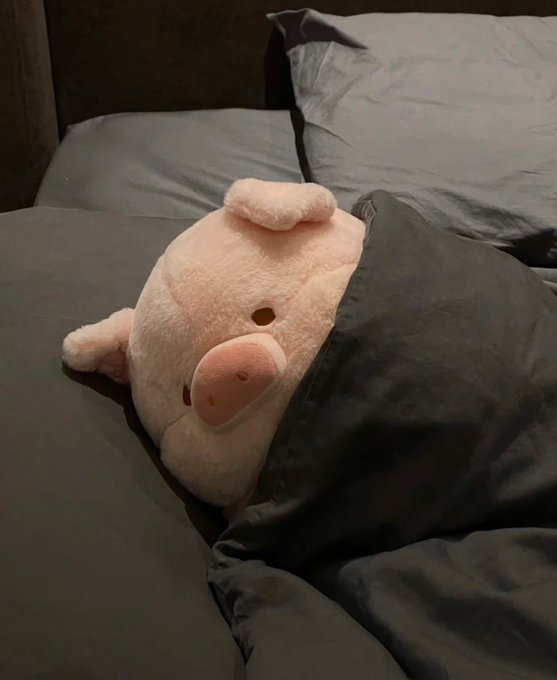 Goodnight piggy 🐷🐽