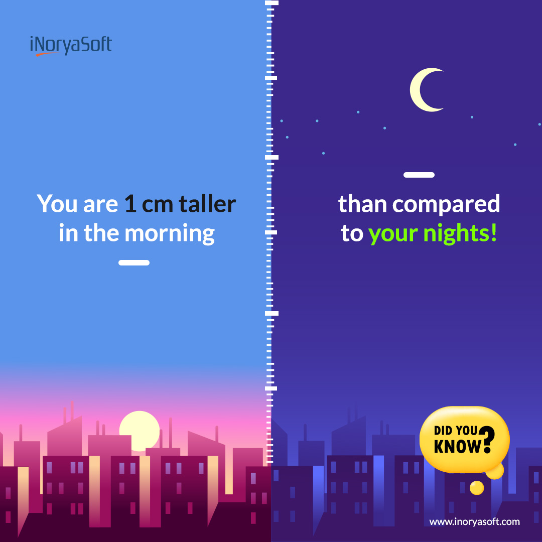 inoryasoft's tweet photo. Do you measure your height in the morning? You might be a centimeter taller.The soft cartilage between the bones is squashed when we’re active. In sleep, it retains its position, making you 1 cm taller than the rest of the day!

#didyouknow #wowfacts #heightdifference #inoryasoft https://t.co/JO4u6zeDKH