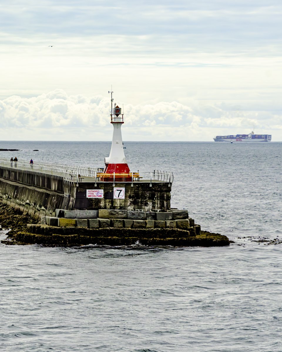 Last day in Victoria, the Breakwater lighthouse from our departing ferry
#365photodgraphy2023, #potd2023, #photoaday, #everydayphotographer, #photooftheday, #pad2023-170, #ferryride, #breakwaterlighthouse, #victoriabcharbor, #lighthouse, #containership, #cloudy