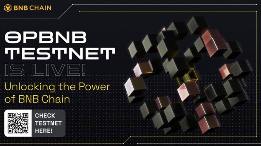 Launchpad_Daddy tweet media