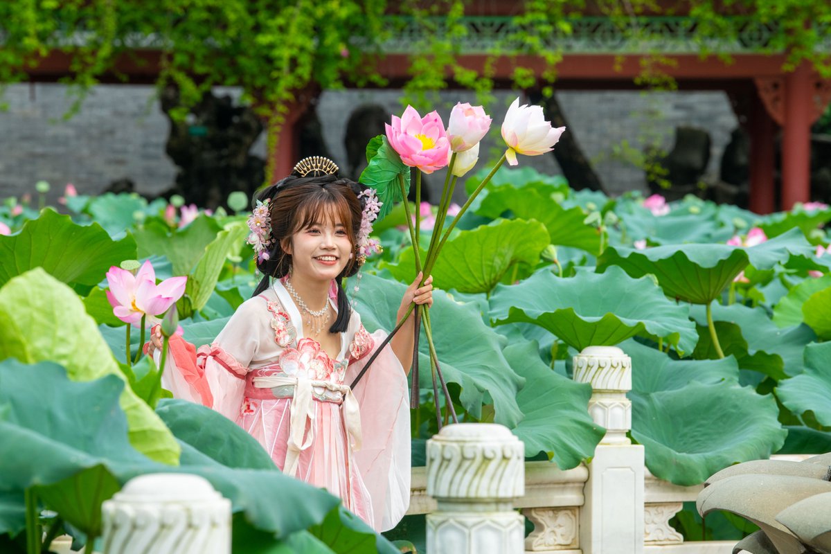guangzhou_daily's tweet photo. 近日，廣州市番禺區的寶墨園、蓮花山旅遊區、沙灣古鎮、大夫山森林公園、大嶺村等地均有荷花盛放，吸引了不少市民遊客前往賞荷拍照。其中，在寶墨園，遊客可看到1000多平方米的荷塘裏，田田荷葉鋪滿湖面，朵朵荷花次第登場，或含苞待放或怒放盛開，綠池碧水紅荷，千姿百態、綽約多姿。陣陣夾着荷香的微風撲鼻而來，讓人陶醉其中，流連忘返。
#lotus #park #tourists #fragrance
