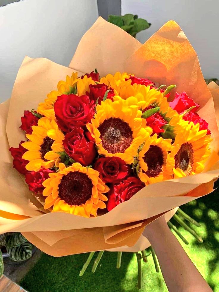 sunflowerchives's tweet photo. red &amp; yellow colors in life 🌻🌹 https://t.co/8rPfLDijHq