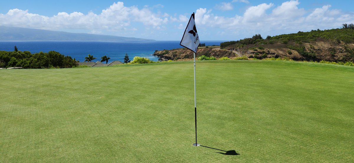 GoonerMaui's tweet photo. Chased the ball around a different course today
โณ๏ธ๐โโ๏ธ
Been a while since me, Silky & (Shoeless) Joe played the
#PlantationCourse
#Kapalua
It's actually the closest course to my home, but can be intimidating.
Guess that's why it's the #PGATour
#TournamentOfChampions
course. ๐ https://t.co/rdB8FNqnOg