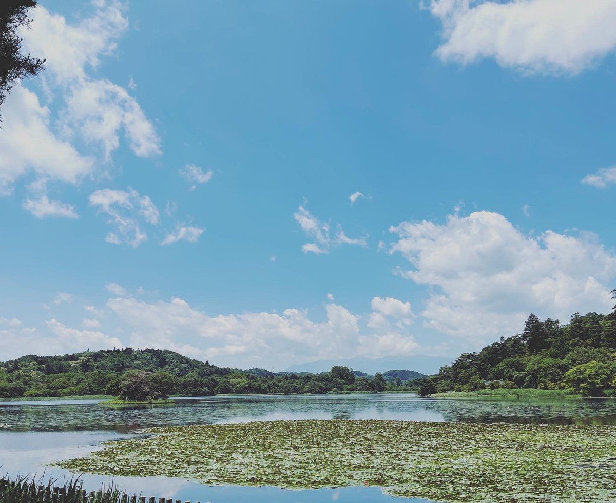 「桜咲く つや福だるま」のご祈祷♪

つや福だるまさんたちがご祈祷を受けて参りました♪
いつもの南湖神社さんにて。
ありがとうございます♪

#ひろじぃくりすたるあーと工房 
#ひろじぃの倖せだるま 
#桜咲く #つや福だるま #ご祈祷 
#南湖神社 #だるま #縁起物 #合格 
#福島県 #白河市 #西郷村 #桜