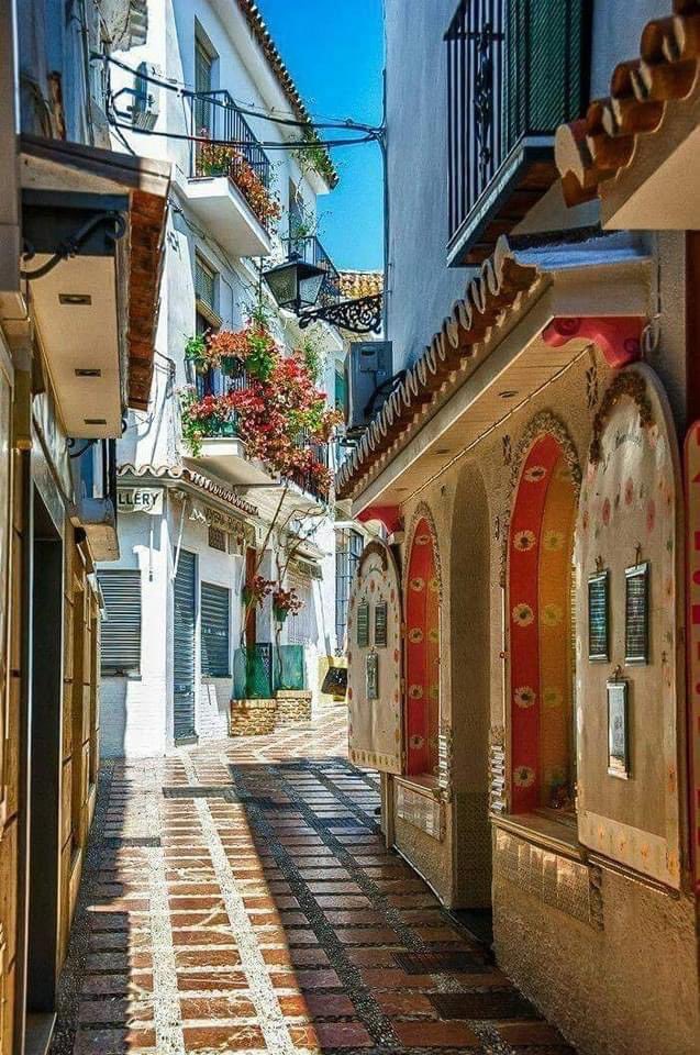 A beautiful street in Marbella, Spain 🇪🇸