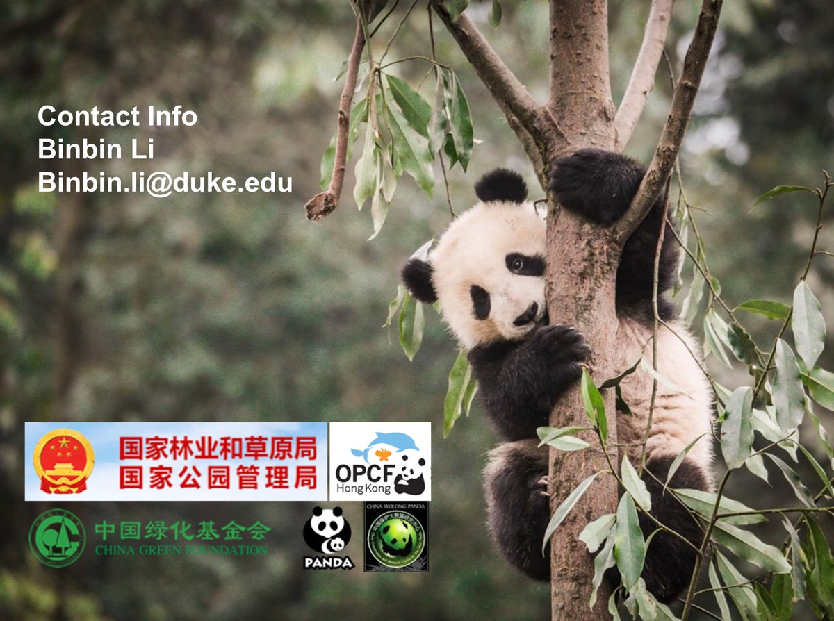 yangyuzhaomax's tweet photo. Dr Binbin Li @Taotiebin  recently visited  @QUTMathEcology and gave a great talk. Her talk and work are truly captivating and motivating. Balancing the challenges of conservation and community development is no easy feat, but She and her team excel at both. https://t.co/apkutM8Okx