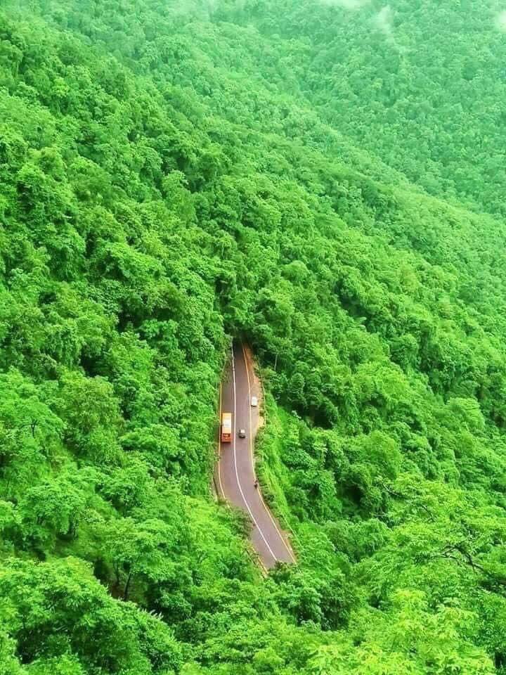 NATURALEZAV3's tweet image. Bendita naturaleza.