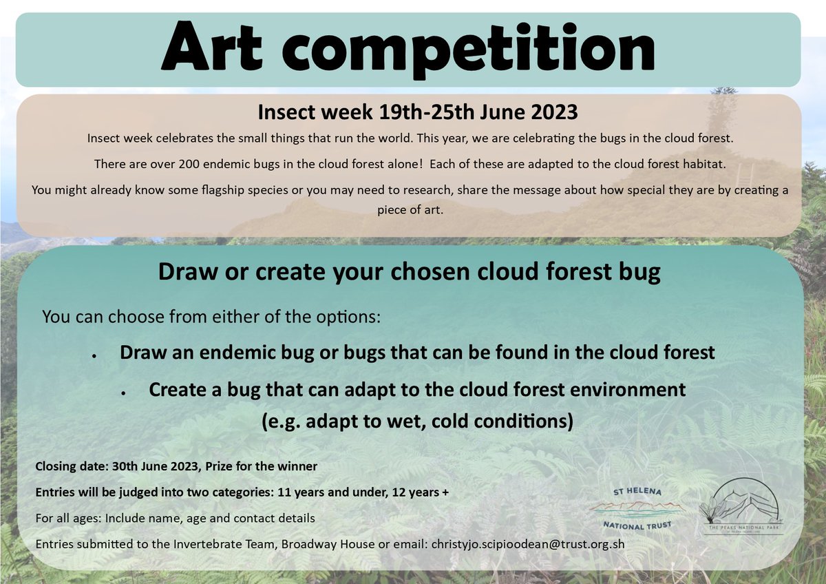 Get crafty! 🐝🦋🎨🖍️🖌️

#InsectWeek2023 #StHelena #Invertebrates 
#StHelenaCloudForestProject #SHCFP #PeaksNationalPark