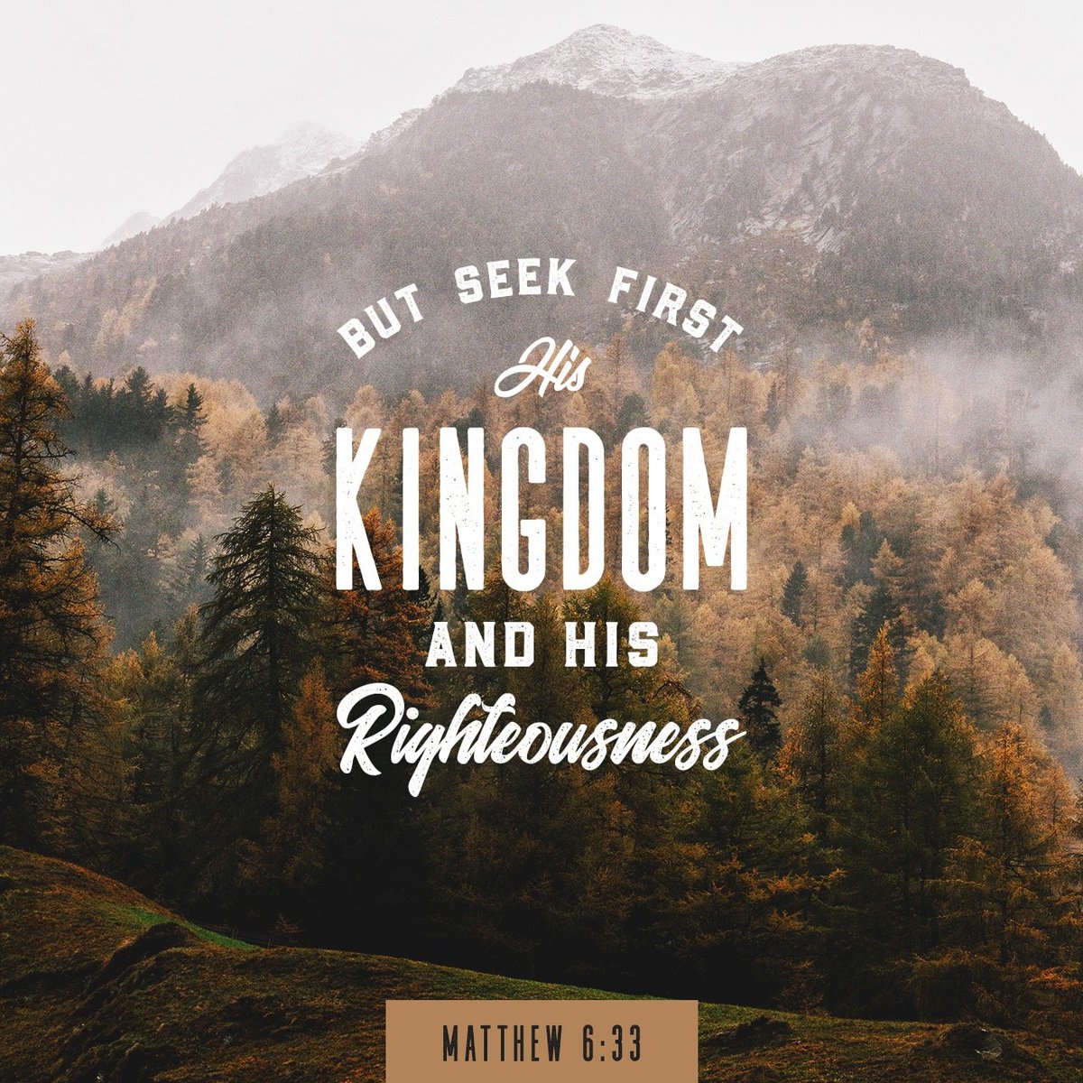 cla_yth's tweet photo. Matthew 6:33 https://t.co/OPCFqVCkOi